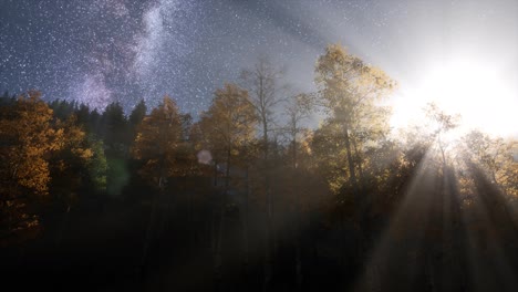 Milchstraßensterne-Mit-Mondlicht-über-Kiefernwald